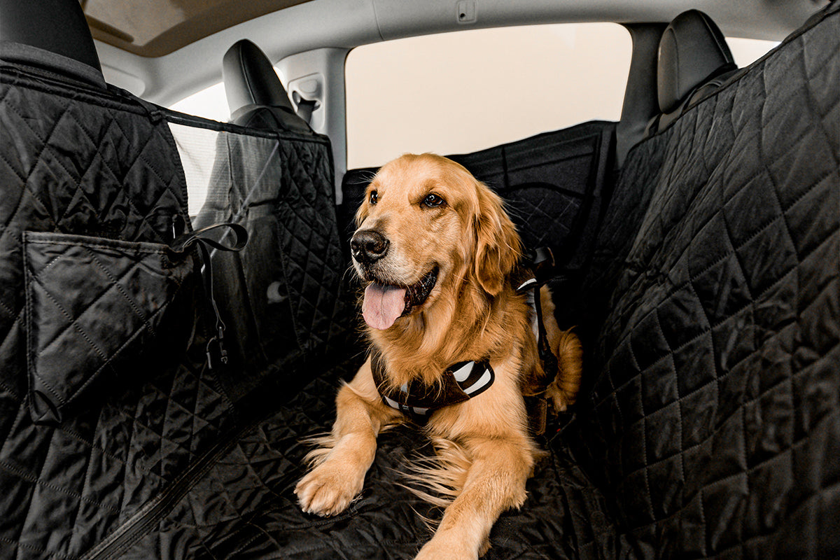 Why is a dog car seat cover so important?
