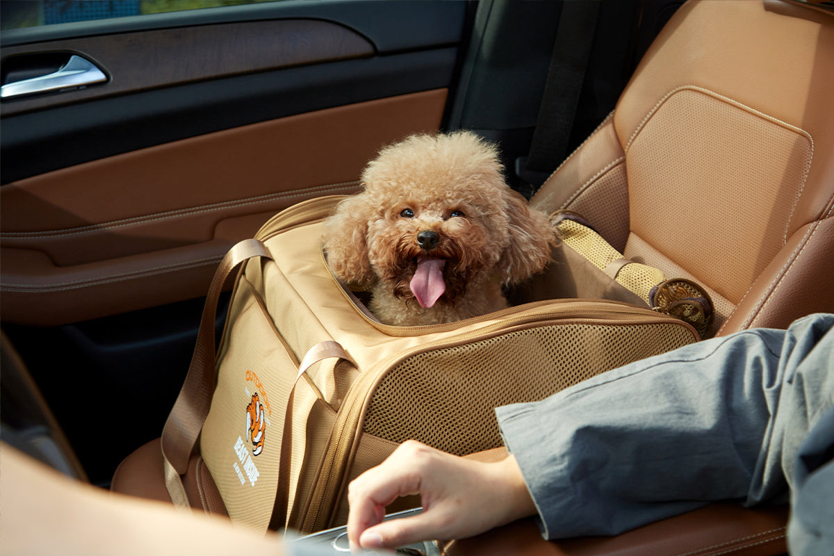 How to pick a right doggie travel bag?