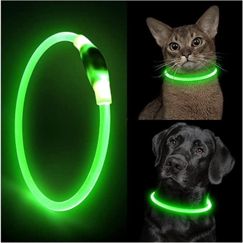 Dog LED Collar