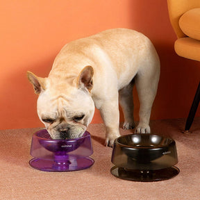 Elevated Adjustable Dog Bowl