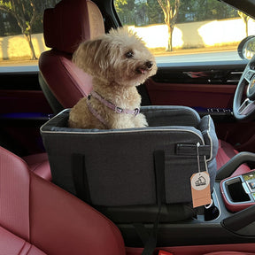 2 in 1 Console Dog Car Seat Double Hand Strap Design