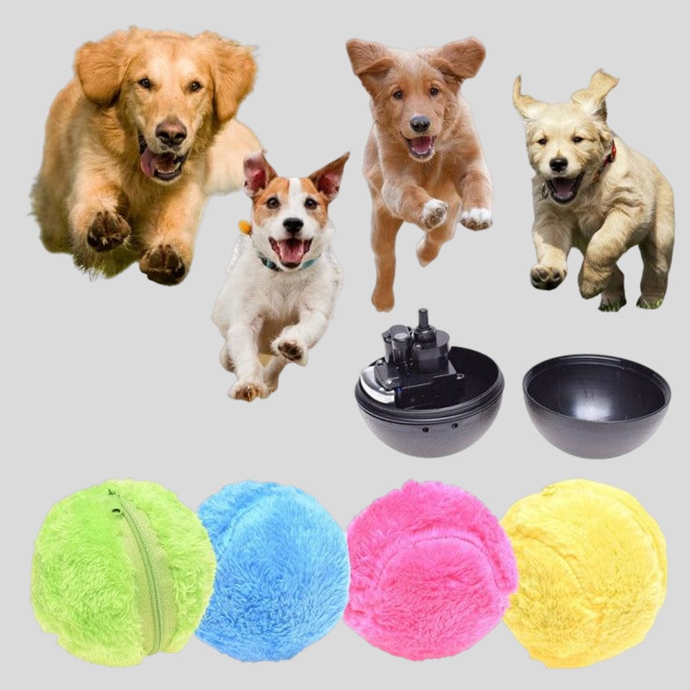 Pet Active Rolling Ball (4 Colors Included)