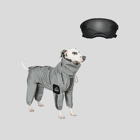 Dog Raincoat & Goggles Set Protective & Stylish Weather Gear