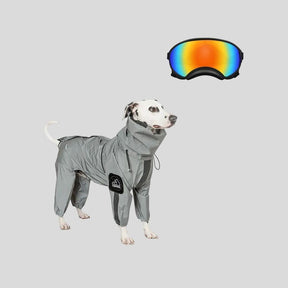 Dog Raincoat & Goggles Set Protective & Stylish Weather Gear
