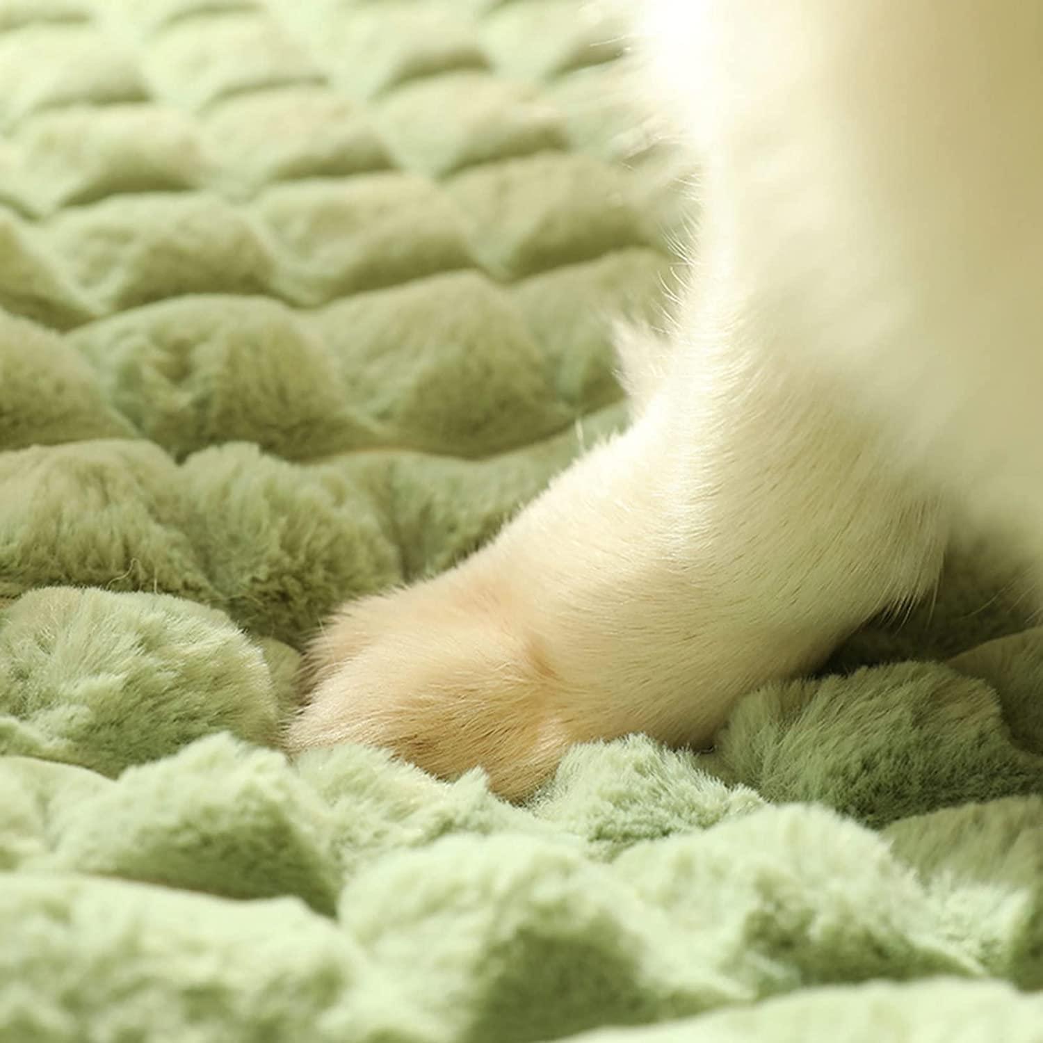 Dog Soft Bed