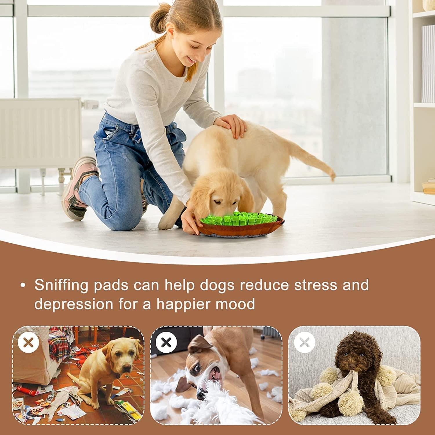 Dog Snuffle Mat for Boredom and Stimulating