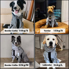 Dog Raincoat + Dog Leash Bundle