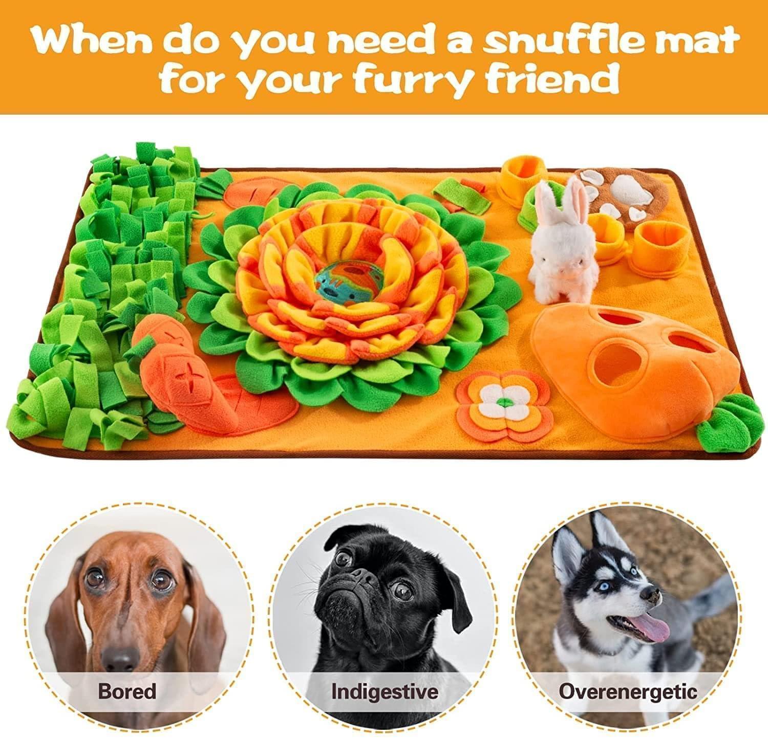 Dog Snuffle Mat for Training and Stress