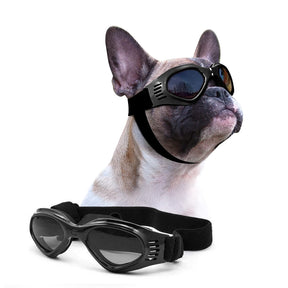 Pet Sunglasses for Medium Dogs