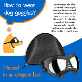 UV Protection Goggle for Large Dog