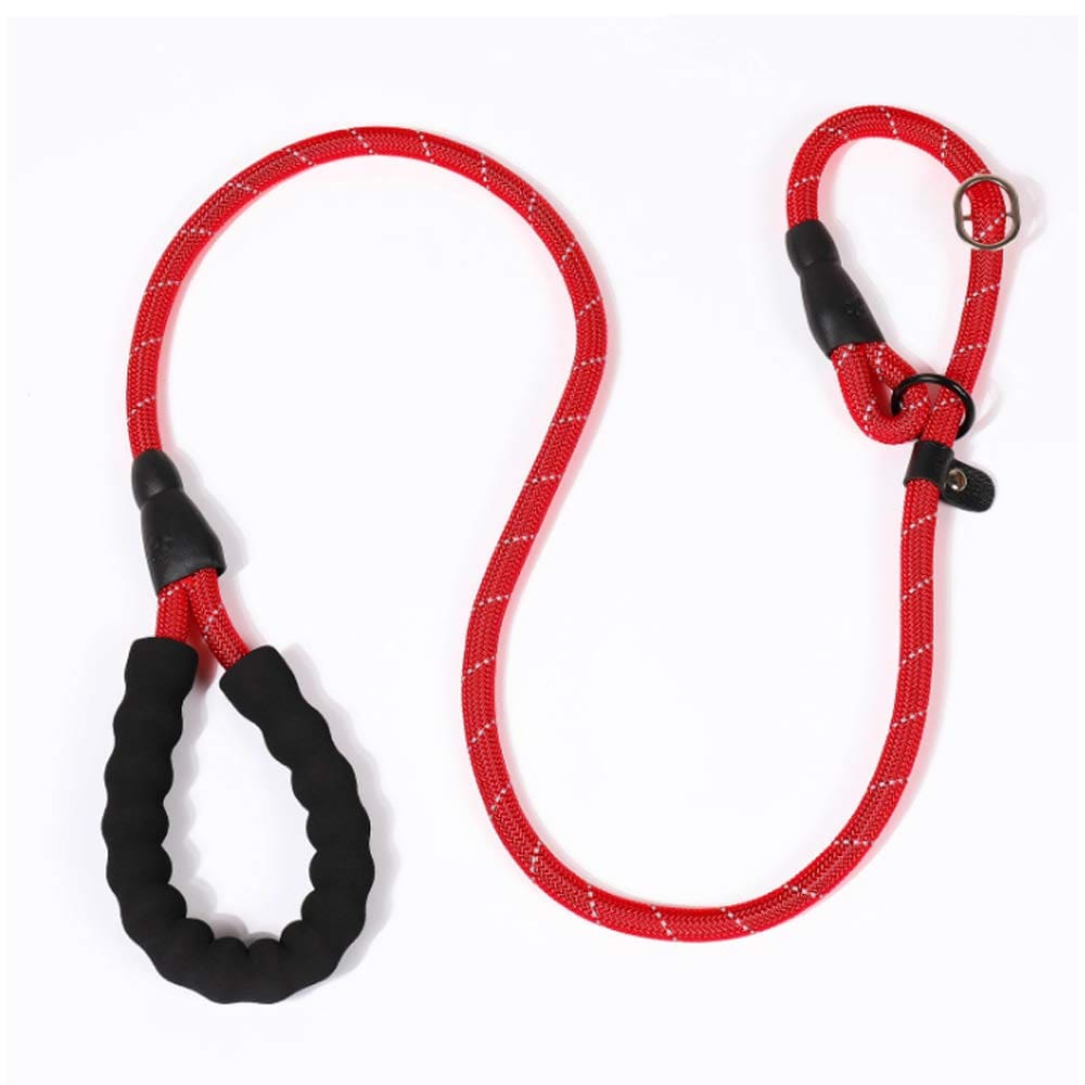 Durable Dog Leash with P Chain