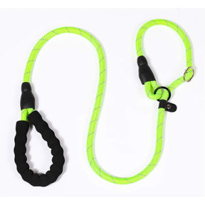 Durable Dog Leash with P Chain