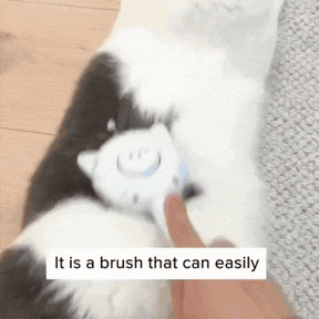 5 in 1 Cat Brush