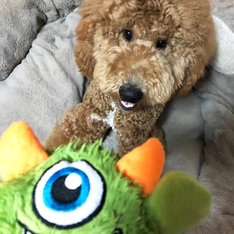 Plush Squeaky Dog Chew Toy - Monsters