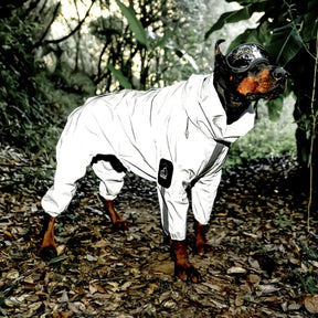 Reflective Dog Raincoat with Hood