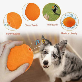 Squeaky Dog Ball Toy