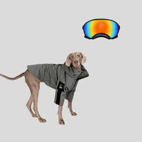 Dog Winter Coat + Goggles Bundle