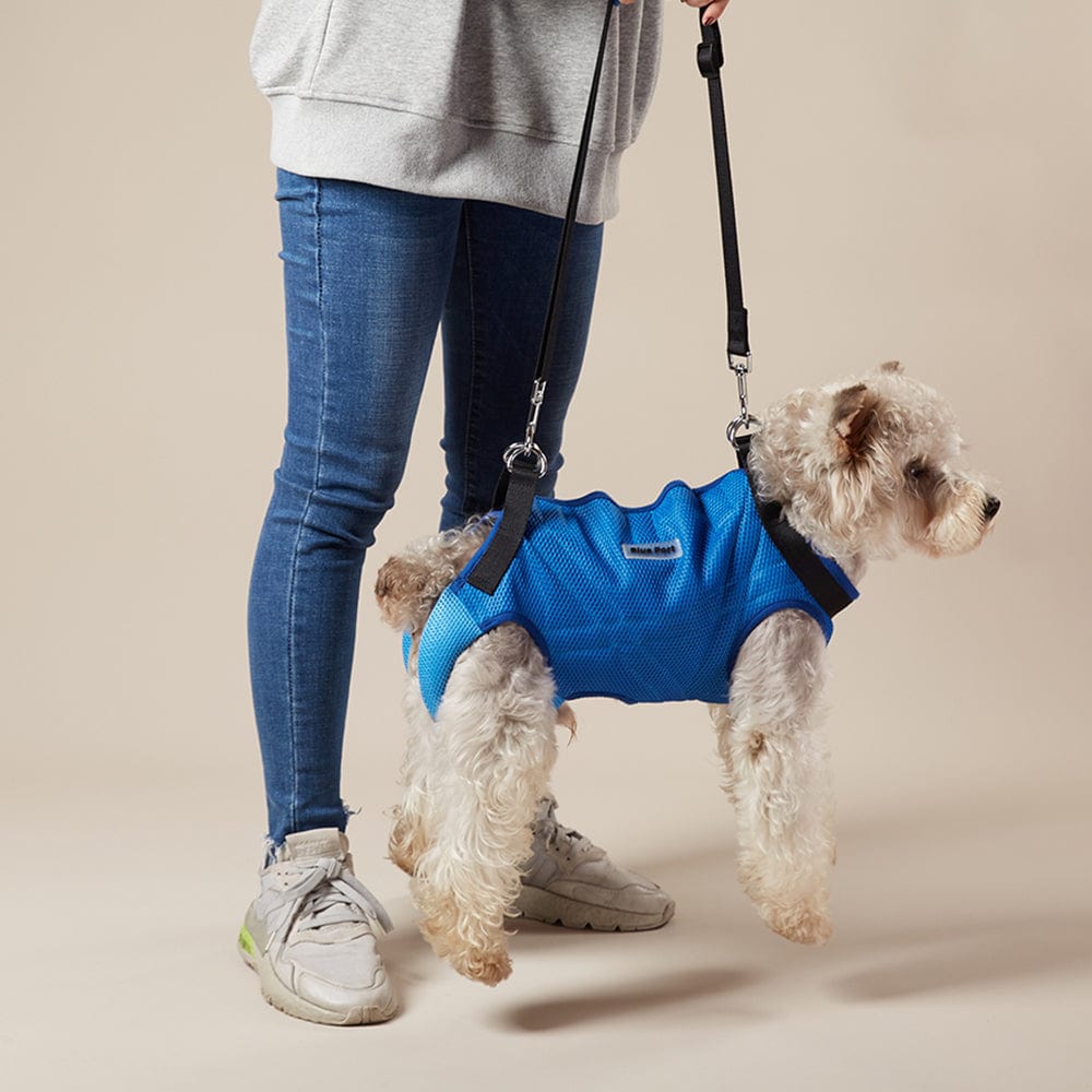 Pet Support Harness