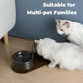 Elevated Adjustable Pet Double Bowl