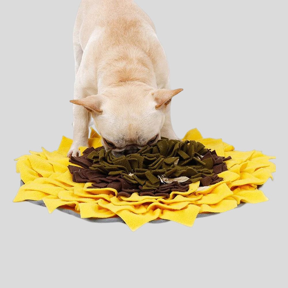 Sunflower Dog Snuffle Mat