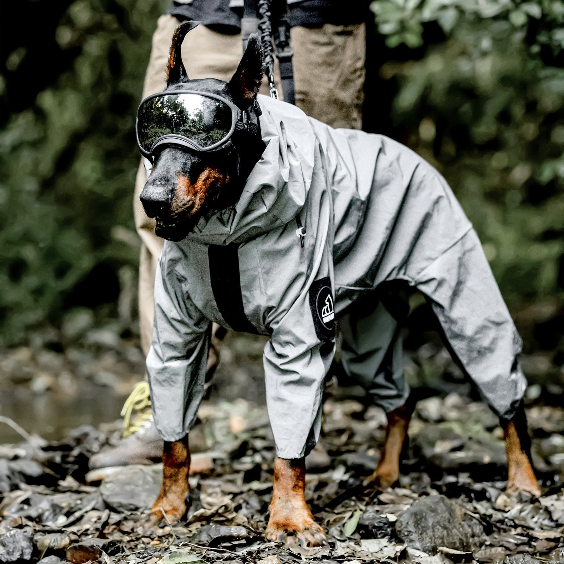 Reflective Dog Raincoat with Hood