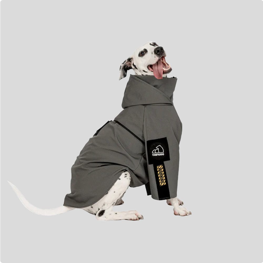 Dog Winter Coat + Dog Leash Bundle