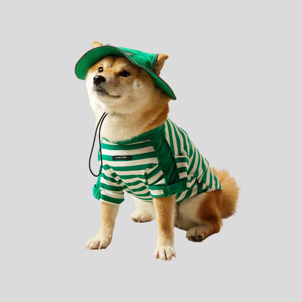 Pet Stitching Striped T-shirt with a Hat