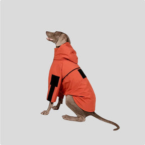 Dog Winter Coat + Dog Leash Bundle