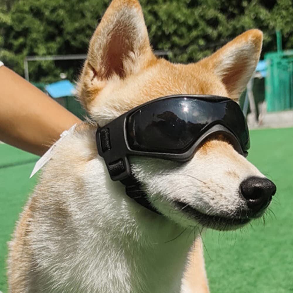 Pet Sun Protection Glasses