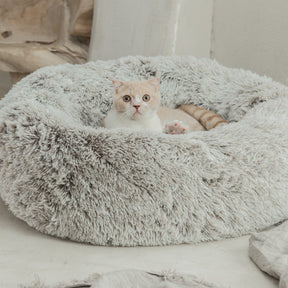 cat fuzzy nest
