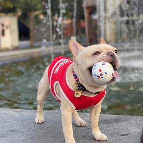 dog interactive fetch ball