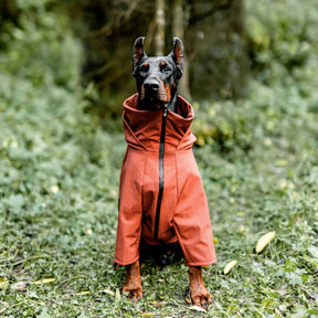 Dog Winter Coat + Goggles Bundle