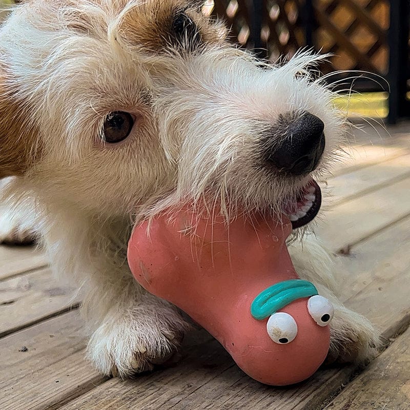 Durable Dog Chew Toy