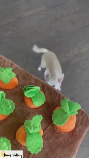 Carrot Dog Snuffle Mat