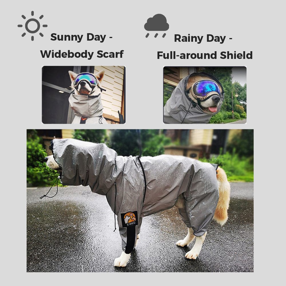 Pawtton Designer Dog Raincoat With Hood
